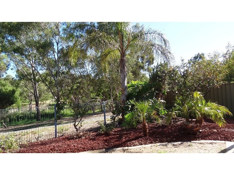 11 Berryfry Avenue, Athelstone SA 5076