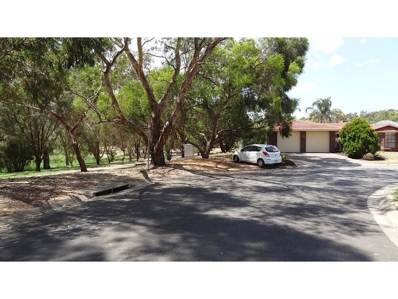 11 Berryfry Avenue, Athelstone SA 5076