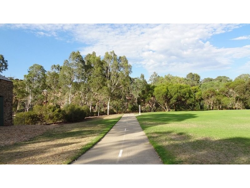 11 Berryfry Avenue, Athelstone SA 5076