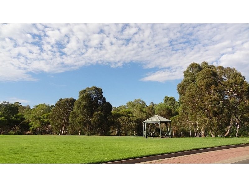 11 Berryfry Avenue, Athelstone SA 5076