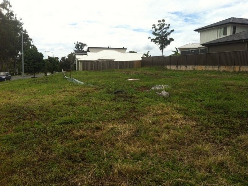 53 Settler Street, Eight Mile Plains QLD 4113