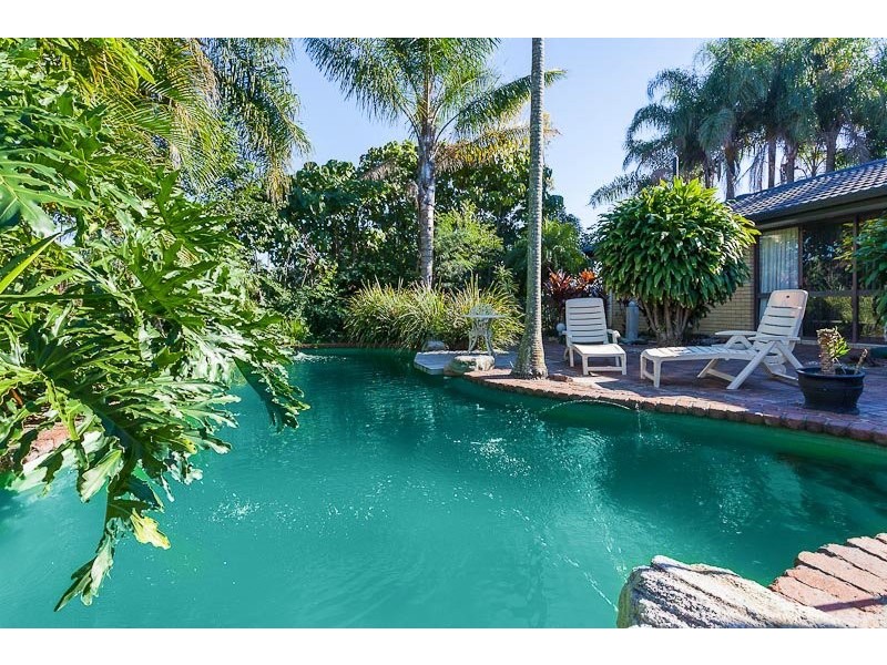 367 Pine Mountain Road, Mansfield QLD 4122