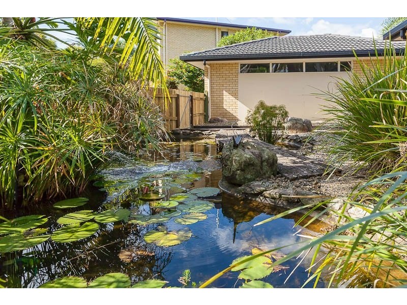 367 Pine Mountain Road, Mansfield QLD 4122