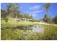 17 Parkway Drive, Advancetown QLD 4211