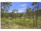 17 Parkway Drive, Advancetown QLD 4211