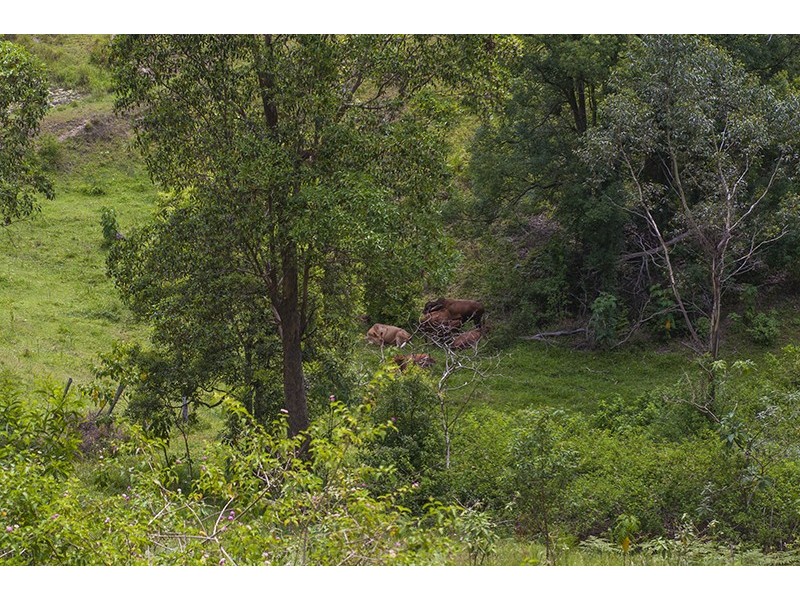 26 Arunta Drive, Mount Nathan QLD 4211