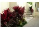 130 Easthill Drive ” The Glades”, Robina QLD 4226