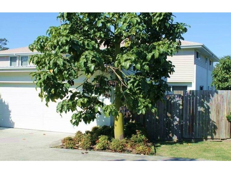 8/1 Christopher Street, Pimpama QLD 4209