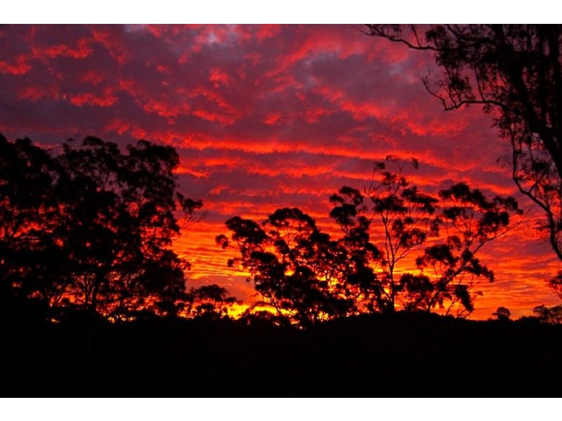 247 Wongawallan Drive, Wongawallan QLD 4210