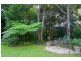 10 Dudgeon Drive, Tallebudgera QLD 4228