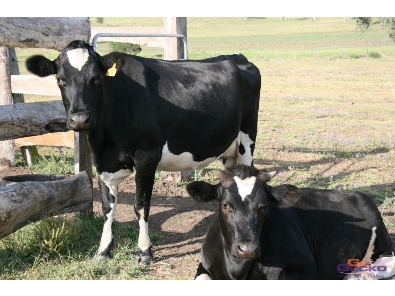 6046 Burnett Hwy, Goomeri QLD 4601