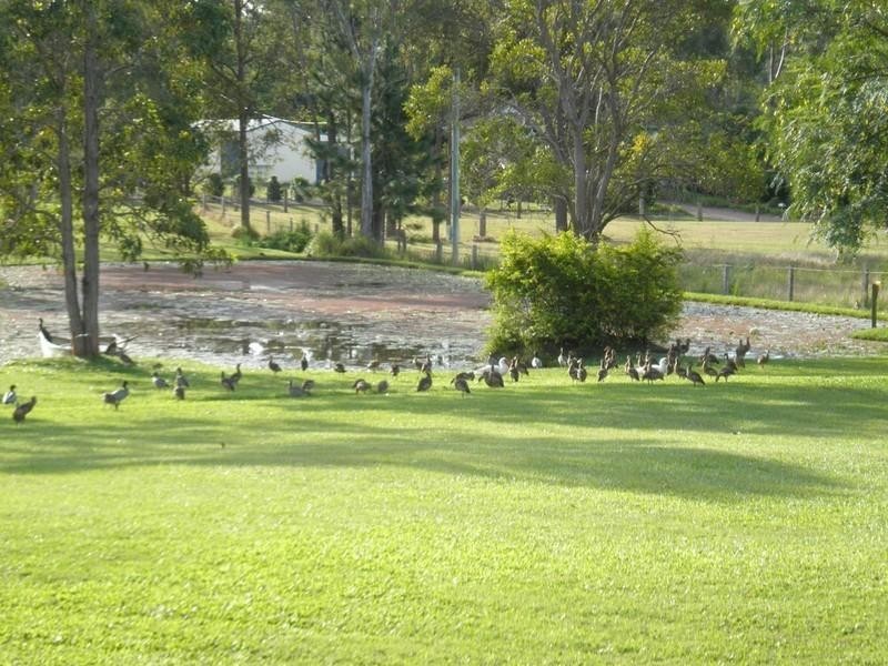 157-163 Rivergum Drive, Burpengary QLD 4505