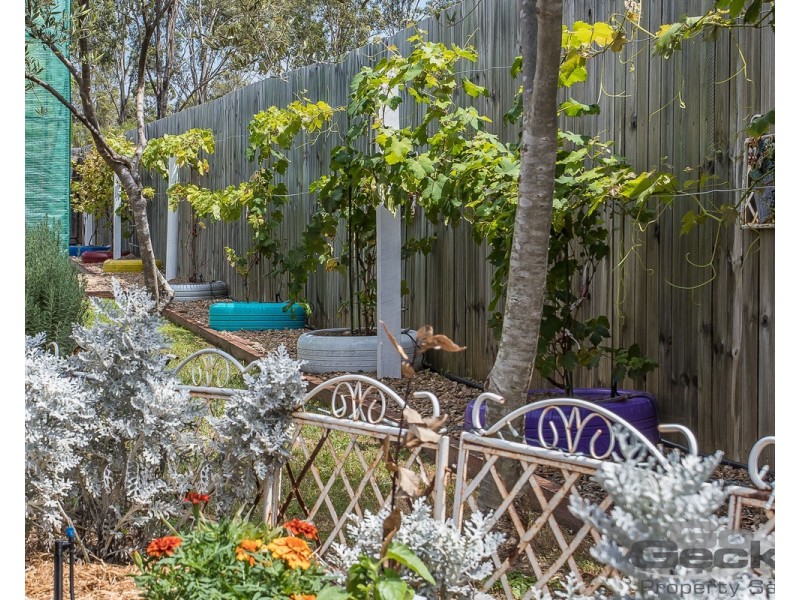1 Goldfinch Court, Upper Caboolture QLD 4510