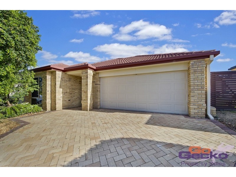 6 Dorrigo Court, North Lakes QLD 4509