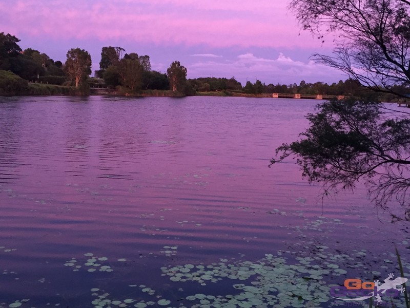 15/50 Lakefield Drive, North Lakes QLD 4509