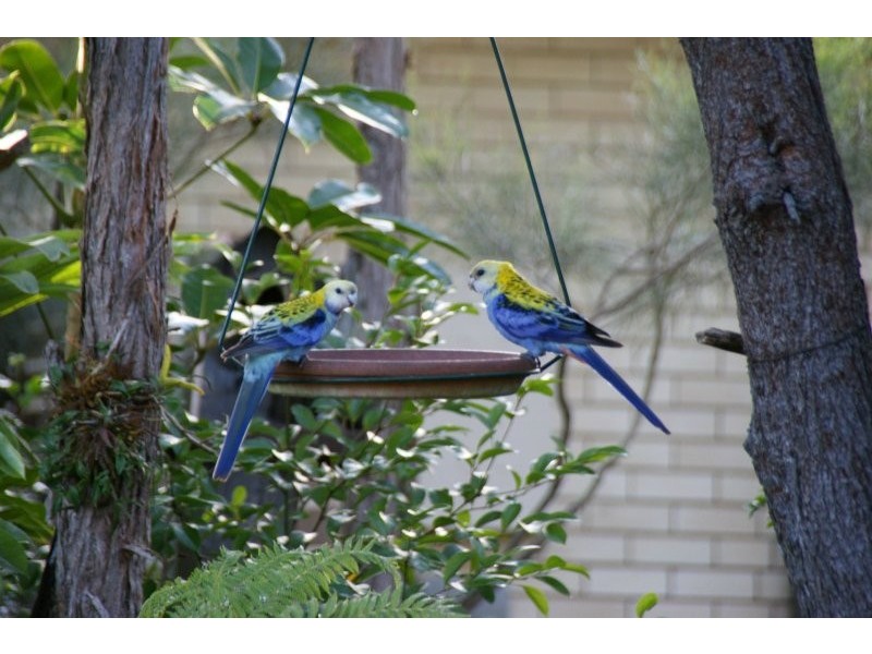 75 Nectar Way, Burpengary QLD 4505