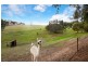 524 Louds Hill Road, Willunga South SA 5172