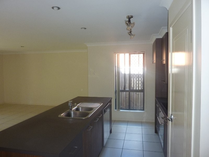 100 James Josey Avenue, Springfield Lakes QLD 4300