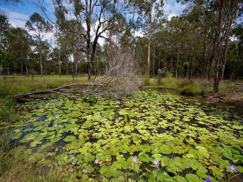 514 Beenleigh-Redland Bay Rd, Carbrook QLD 4130