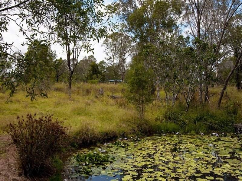 514 Beenleigh-Redland Bay Rd, Carbrook QLD 4130