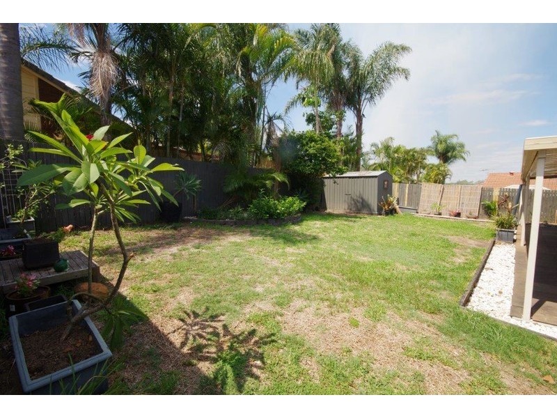 37 Peachface, Springfield QLD 4300