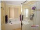 43 Tone Drive, Collingwood Park QLD 4301