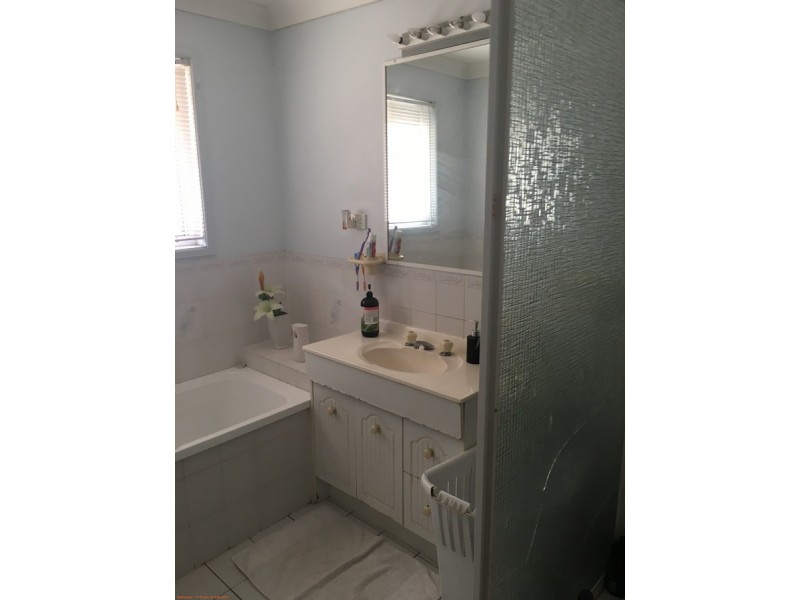 135 Collingwood Drive, Collingwood Park QLD 4301