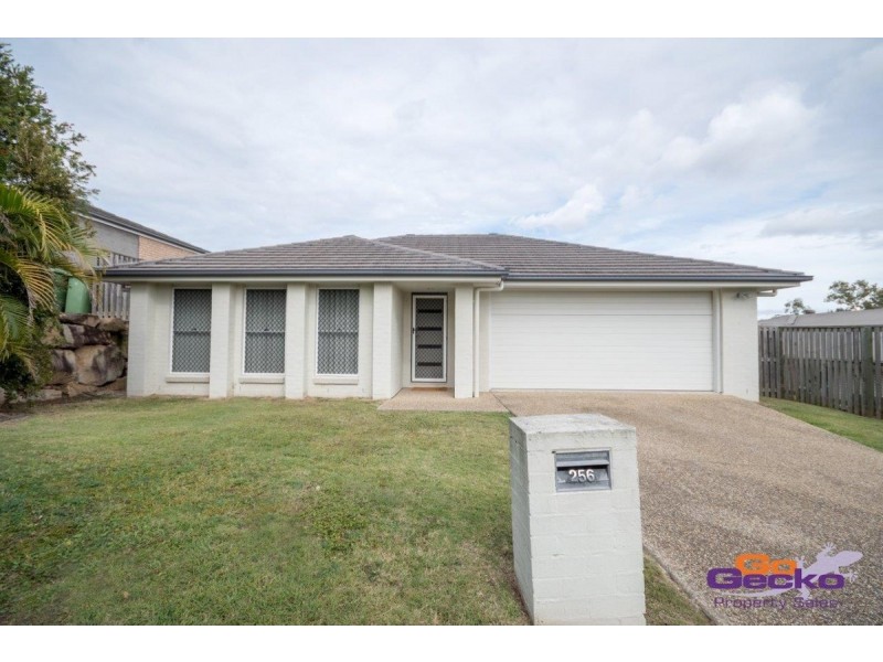 256 Alawoona Street, Redbank Plains QLD 4301