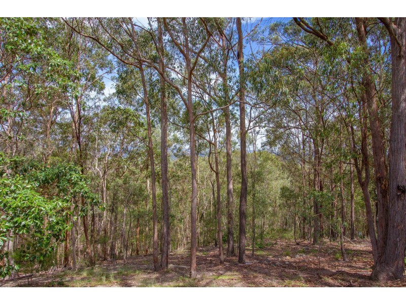 17 Lagrange Court, Shailer Park QLD 4128