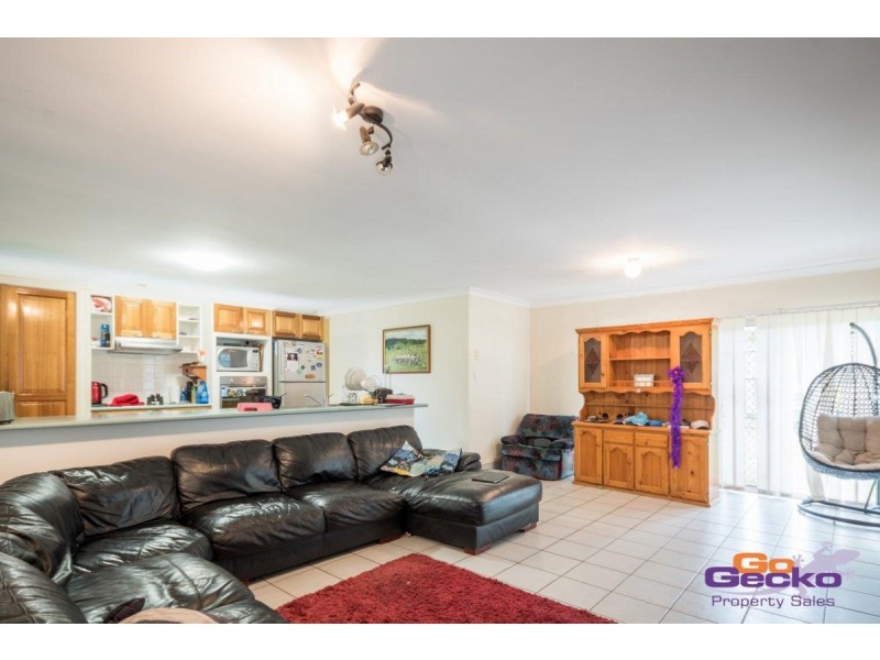 11 Camelia Street, Springfield QLD 4300