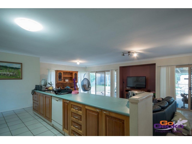 11 Camelia Street, Springfield QLD 4300