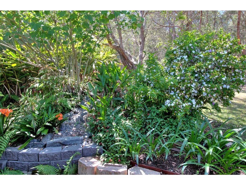 50 Van Dieman Crescent, Springwood QLD 4127