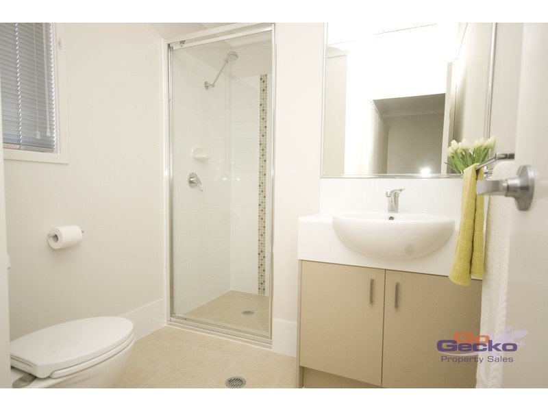 45 Blaxland Crecent, Redbank Plains QLD 4301