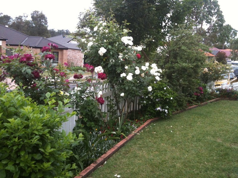 40 Lavender Street, Springfield Lakes QLD 4300