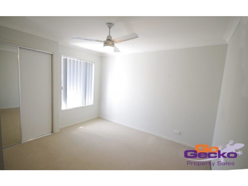 17 Carnarvon Avenue, Springfield Lakes QLD 4300