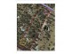 273 Kurrajong Road, Jimboomba QLD 4280 Floorplan