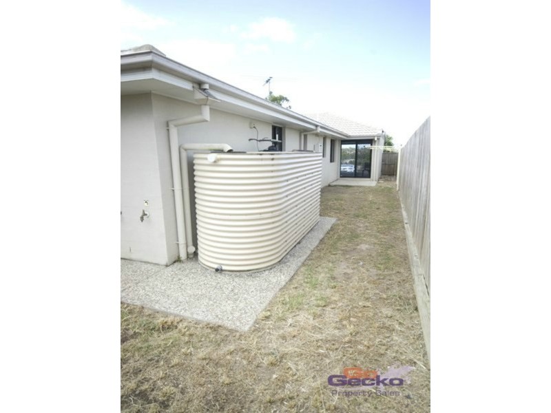 47 Summit Drive, Springfield Lakes QLD 4300