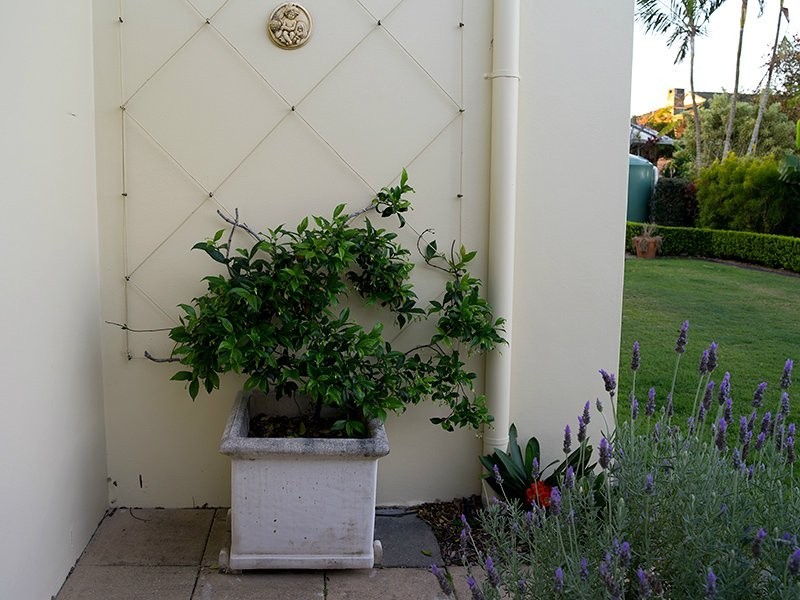 12 Riviera Court, Cornubia QLD 4130