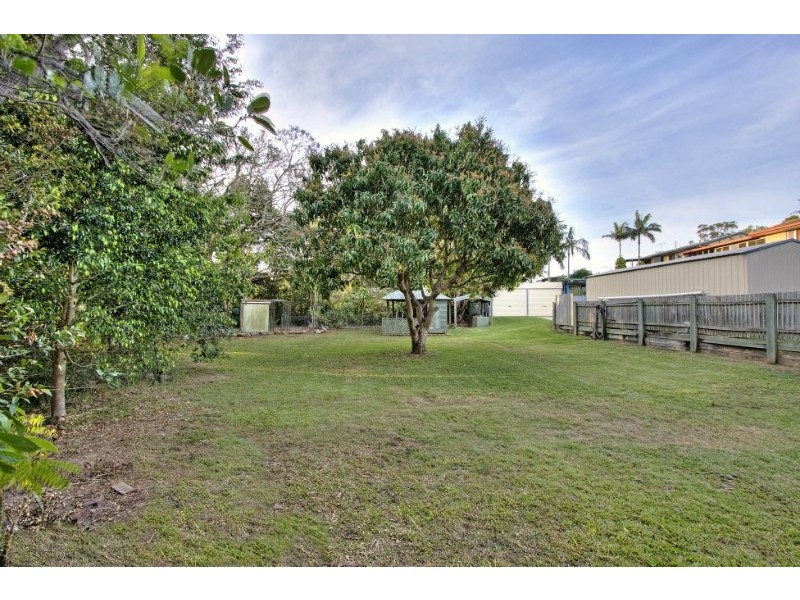 17 Conifer Street, Daisy Hill QLD 4127