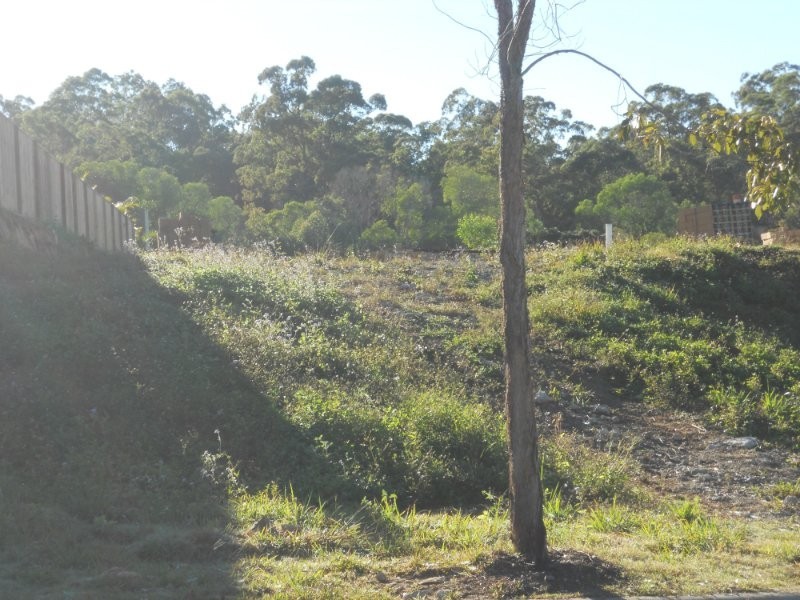 1 Lynette Way, Daisy Hill QLD 4127
