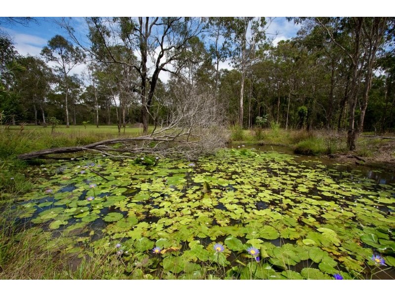 514 Beenleigh-Redland Bay Road, Carbrook QLD 4130