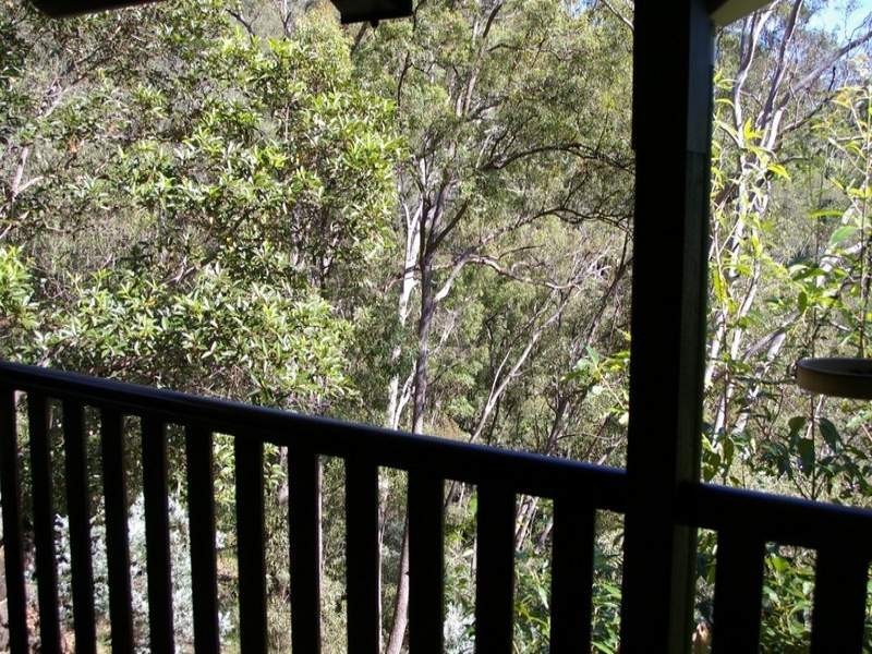 16 Gordon Crescent, Withcott QLD 4352