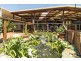 1 Bader Court, Wilsonton QLD 4350