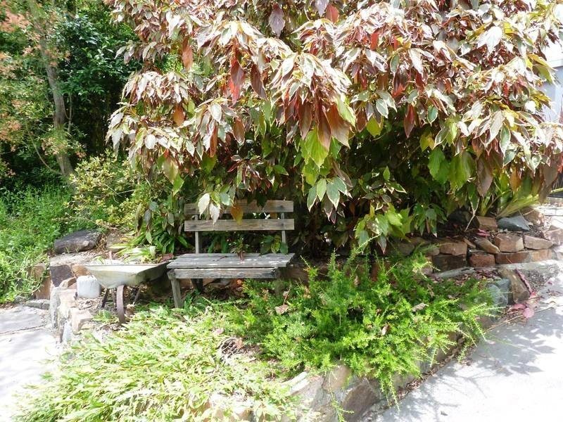 11 Seladon Avenue, Wallsend NSW 2287