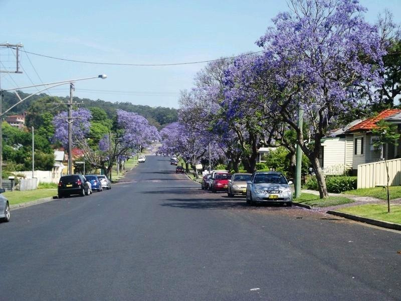 61 Murnin Street, Wallsend NSW 2287