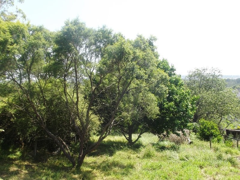 190 Marsden Street, Shortland NSW 2307