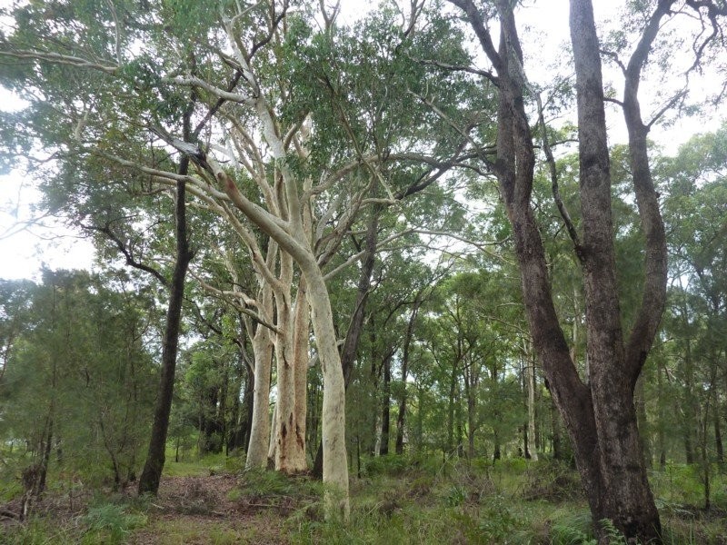 8-12 Coolamin Street, Wyee NSW 2259