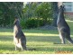 6 Woodlands Drive, Thornton NSW 2322