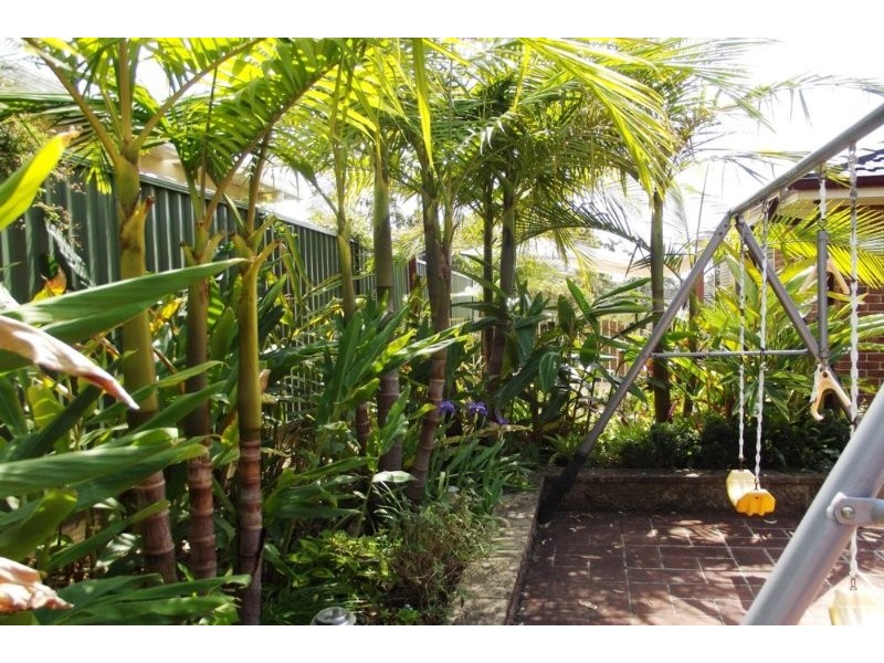 21 Middle Tree Close, Hamlyn Terrace NSW 2259