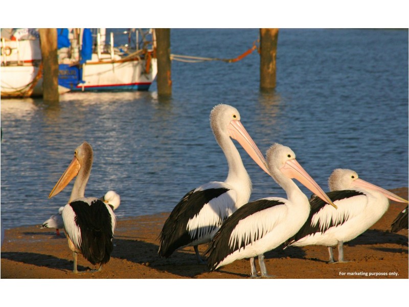 42 Wandella Road, Mornington VIC 3931